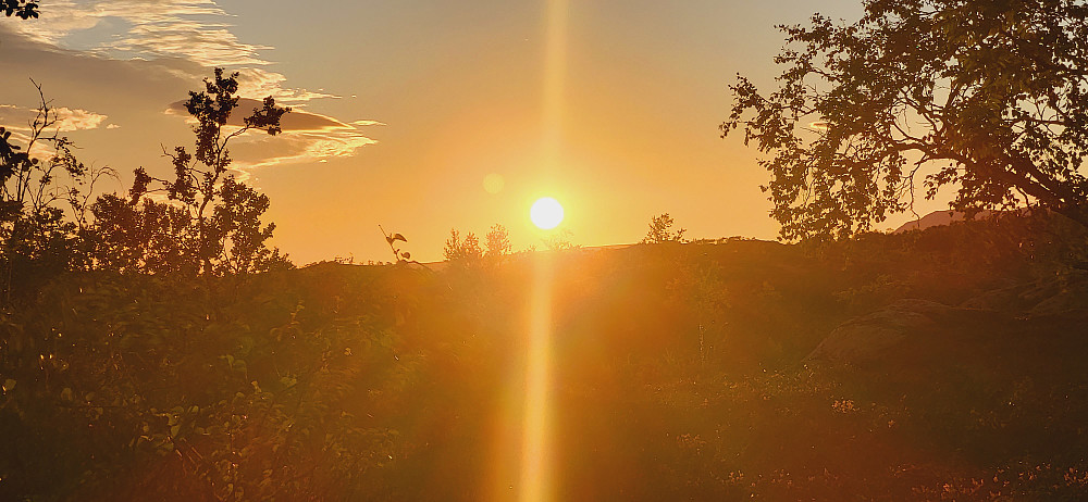 Samme flotte solnedgangen som i går..
