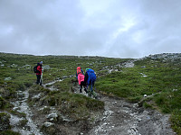 Icemann99_20250406_67f2597948a21.jpg