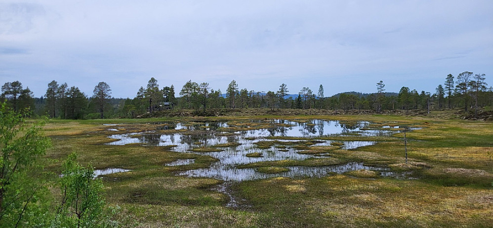 Det måtte navigeres etter kartet for å komme seg gjennom alle disse myrhøla..