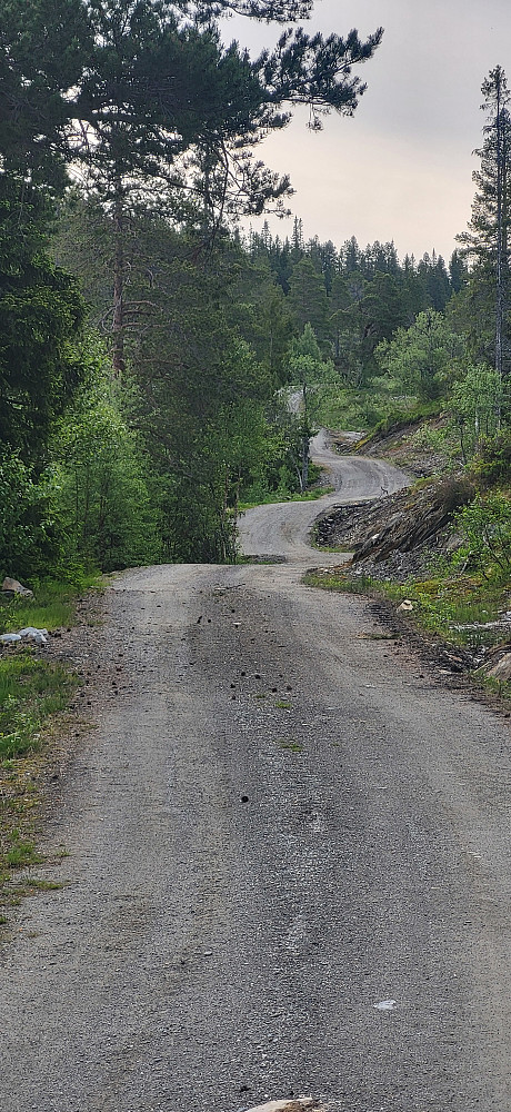 Man ser når veien er så gammel at den ble laget mere manuelt og etter naturlige kurver i terrenget...