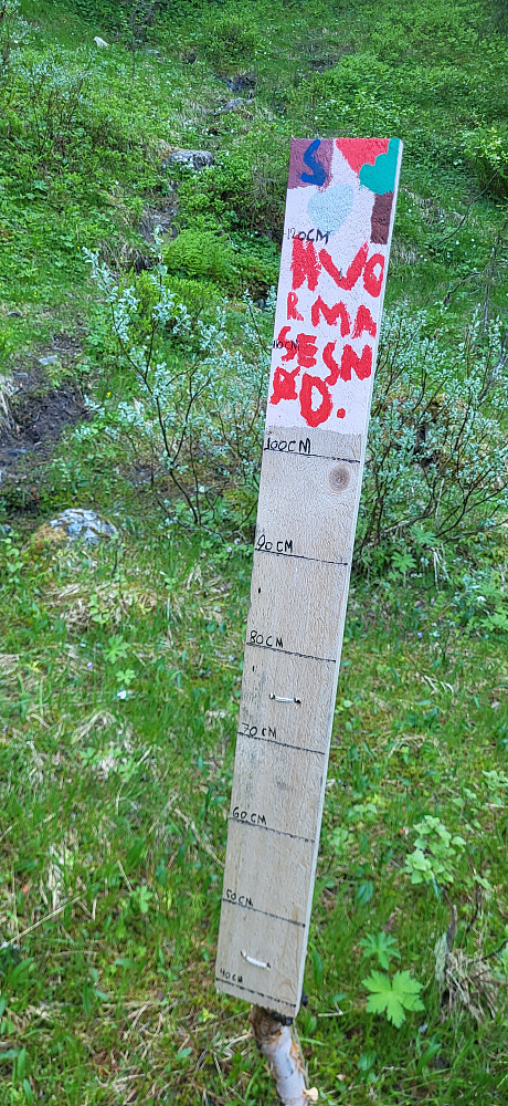 Noen barn som har laget snømengde måler.. kreativt..
