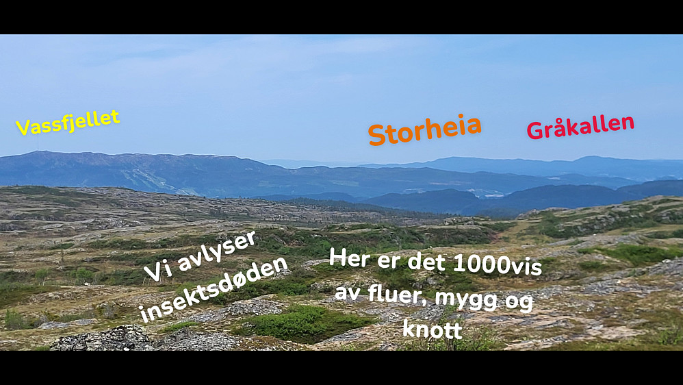 Det var så mye fluer, mygg og annet uttyø på toppen, at jeg var raskt på tur igjen..