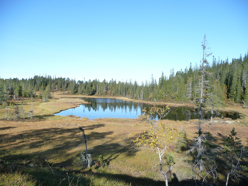 Fagerlitjønna