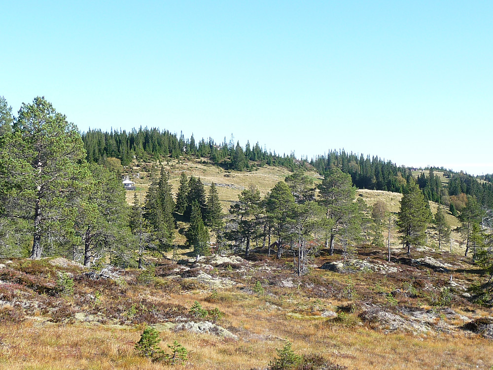 Det nedbrendte seterskjulet på Rolisetran