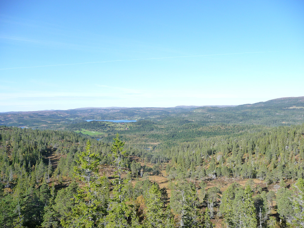 Mot Stor grønnsjøen