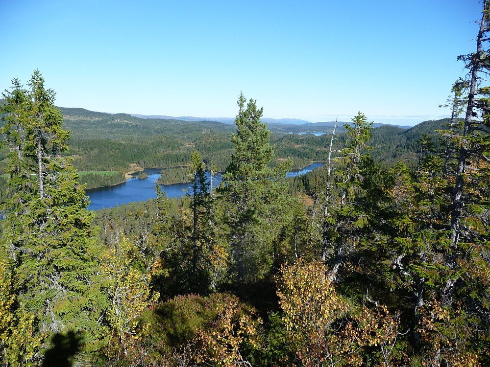 Litj Grønnsjøen