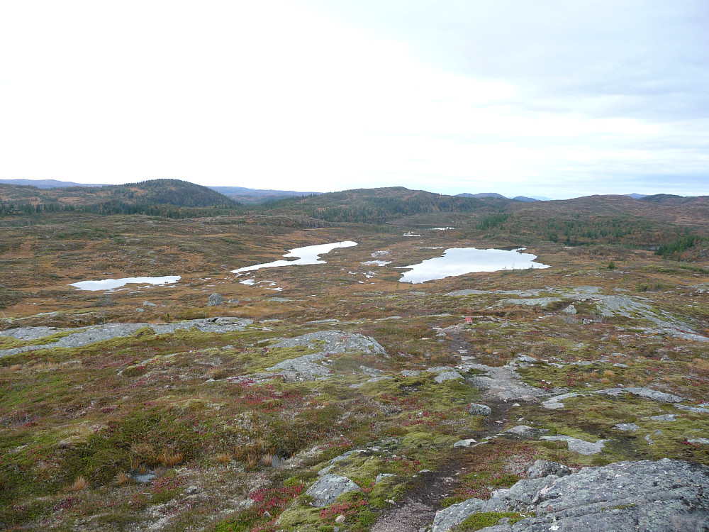 Tvillingtjønnin