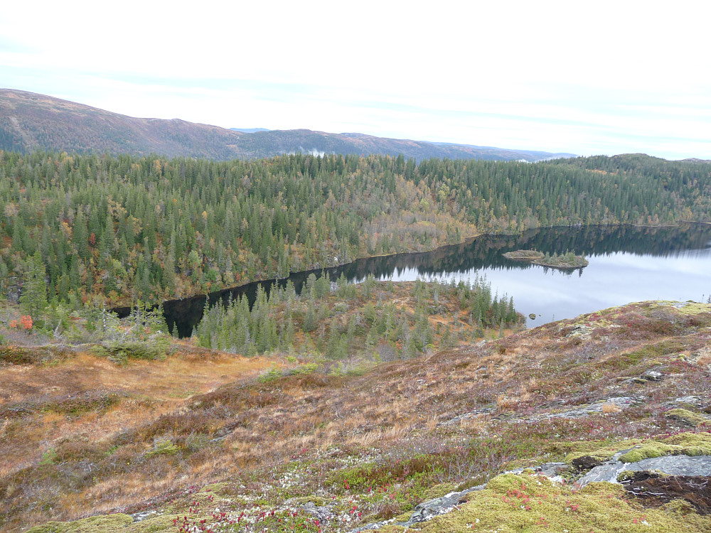 Osvatnet