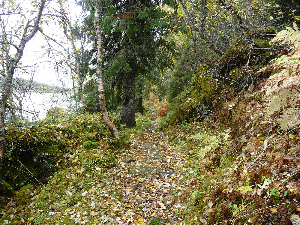 Sti ved Julvatnet