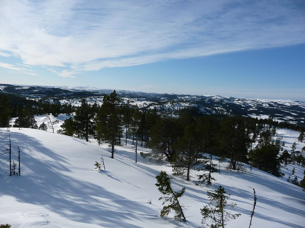 Fra Budeiklumpen og nord vestover