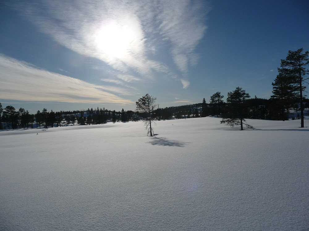 Øst for Skråssvatna