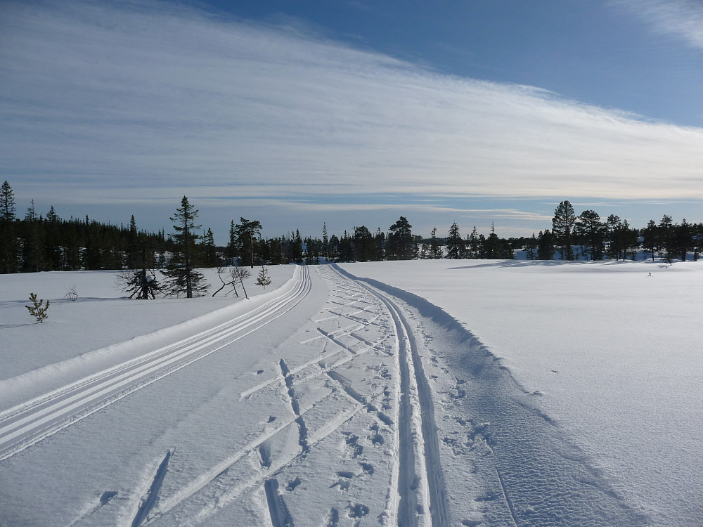 Sporet mot Myrmo