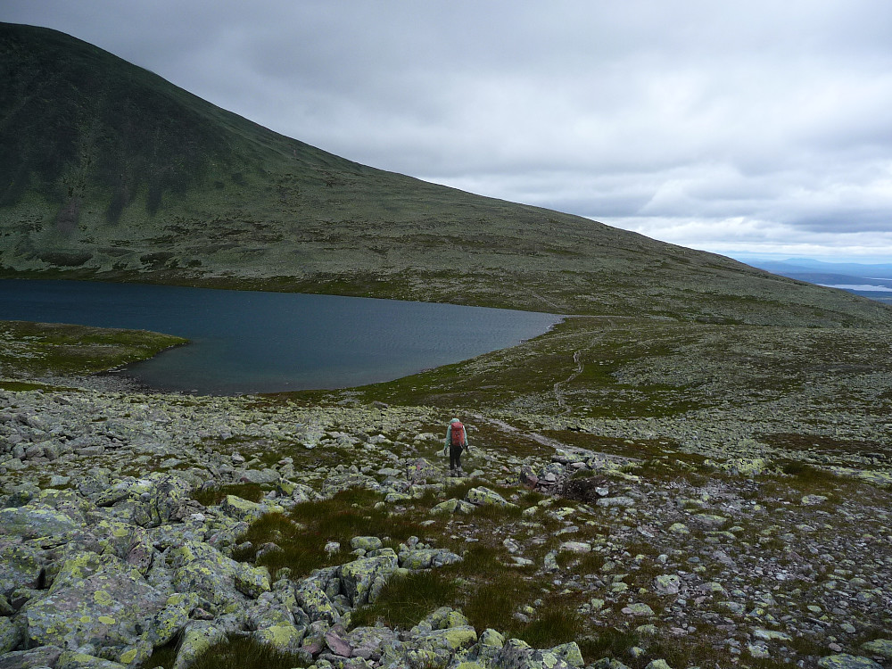Skardstjønna