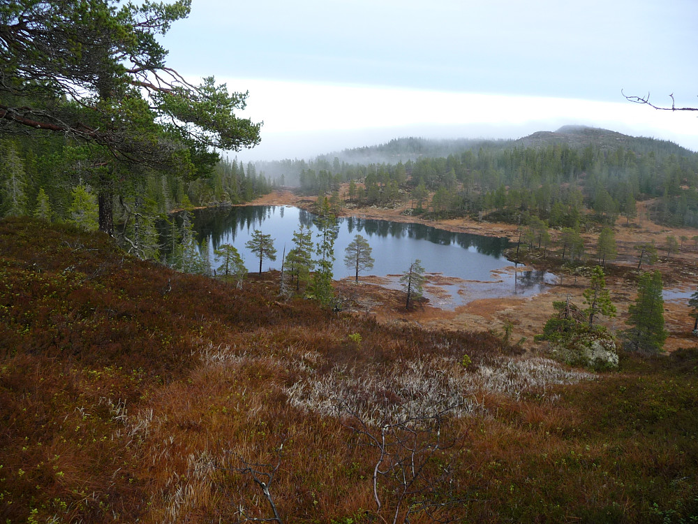 Bjønnatjønna