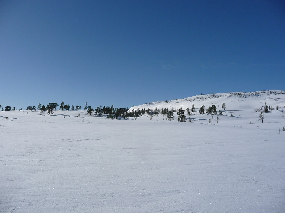 Svartberga
