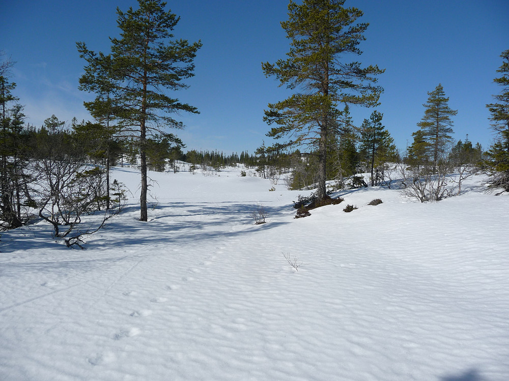 Portal mot Reidalsmyran