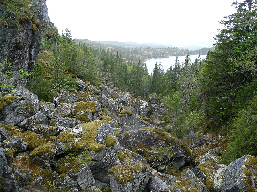Øst for Bekkasetran og Fiskløysa