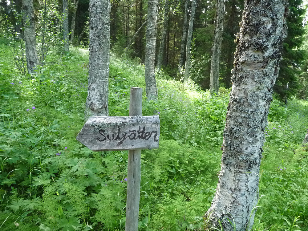 Veiviser på stien