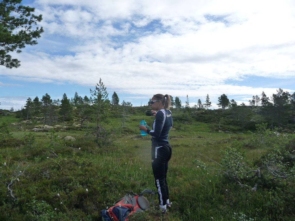 På tur opp storheia