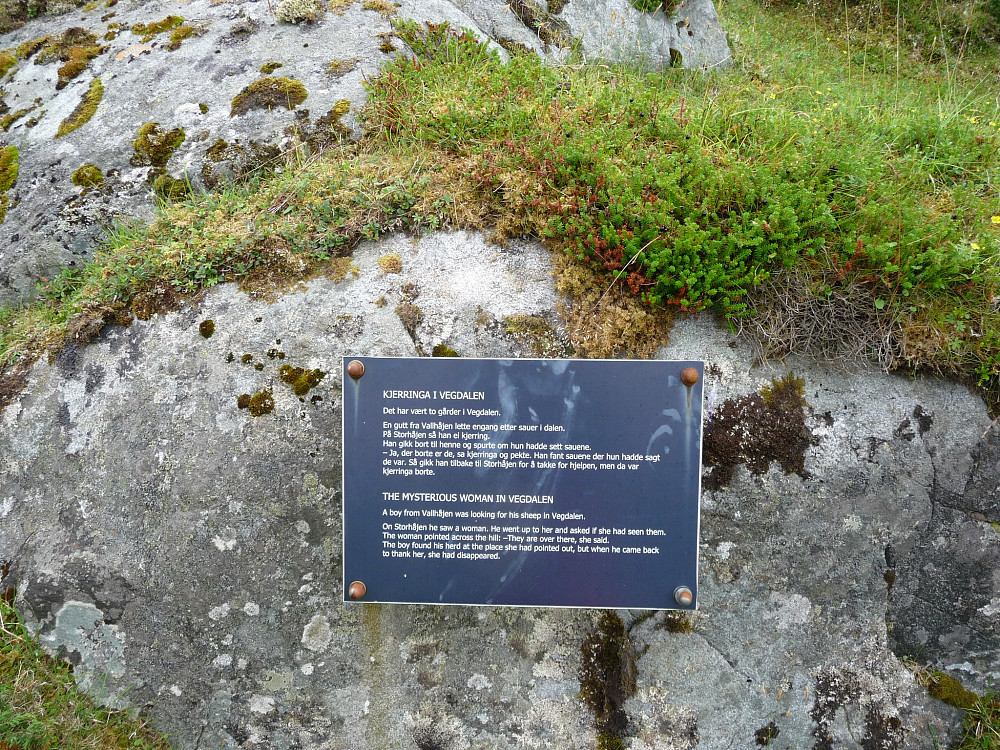 Historie om ei kjerring