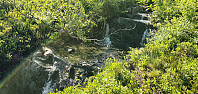 Karina_20220711_62cc4dceadc94.jpg