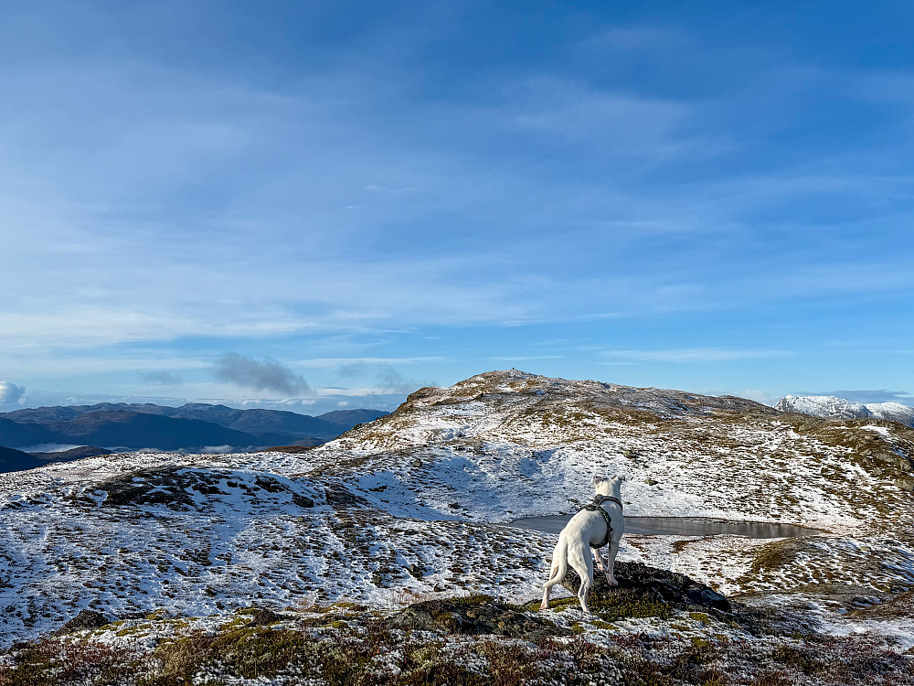 Mot Blåfjellet