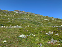 Somlaren_20210724_60fc04a1dff1d.jpg