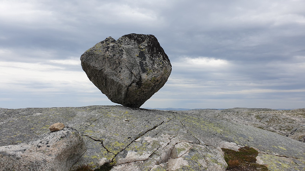 Timaglaset