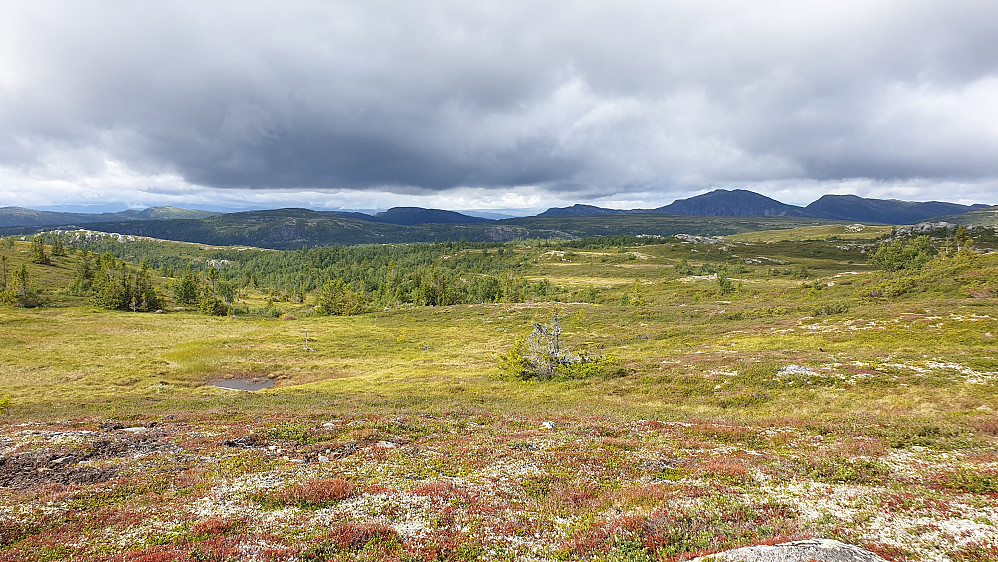 Landskapet på Norefjell