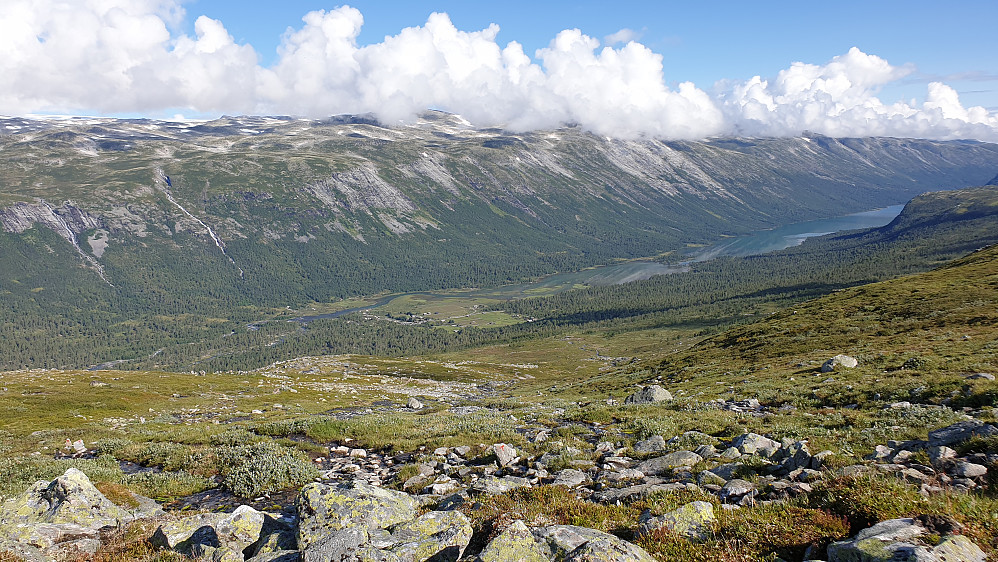 Sota sæter