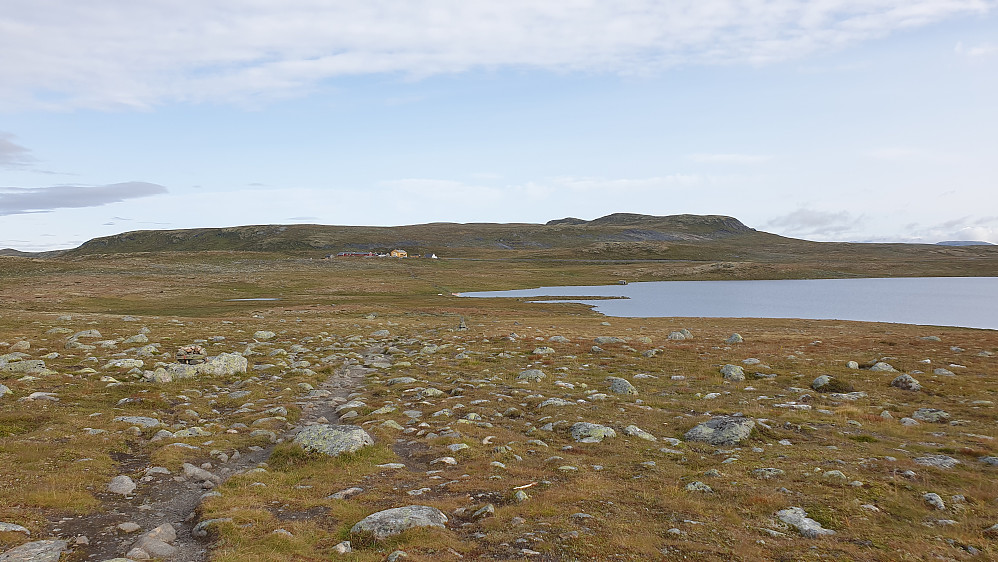 Dyranut Fjellstova