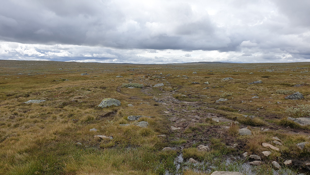 Flatt Hardangervidde-landskap