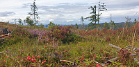 GreteR_20210815_61193d3da041a.jpg