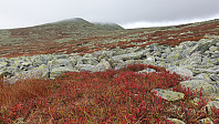 GreteR_20210912_613e2dbacf2db.jpg