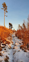 GreteR_20211114_6191520ca14db.jpg