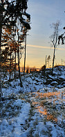 GreteR_20211114_6191520eb7038.jpg
