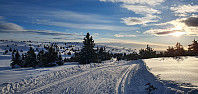 GreteR_20220219_621139d3575cf.jpg