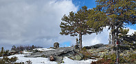 GreteR_20220410_6253219f0995a.jpg