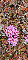 GreteR_20220612_62a639299a8b7.jpg