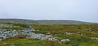 GreteR_20220715_62d1b7c52cd8c.jpg