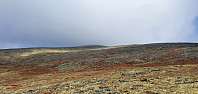 GreteR_20220918_63275c4b7159c.jpg