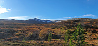 GreteR_20221012_6347018881f16.jpg