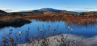 GreteR_20221012_6347018f763f4.jpg