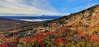 GreteR_20221015_634af503de364.jpg
