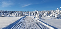 GreteR_20230122_63cd759b88ab0.jpg