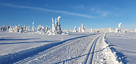 GreteR_20230122_63cd759d4ab1c.jpg