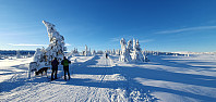 GreteR_20230122_63cd75a02c11b.jpg