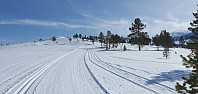 GreteR_20230405_642d71f8c4533.jpg