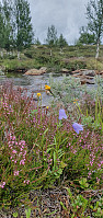 GreteR_20230814_64d9d5ee1ffc4.jpg