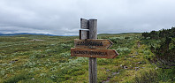 GreteR_20230814_64d9d5f673102.jpg